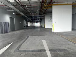 Ct Foodnex (D25), Factory #497817791